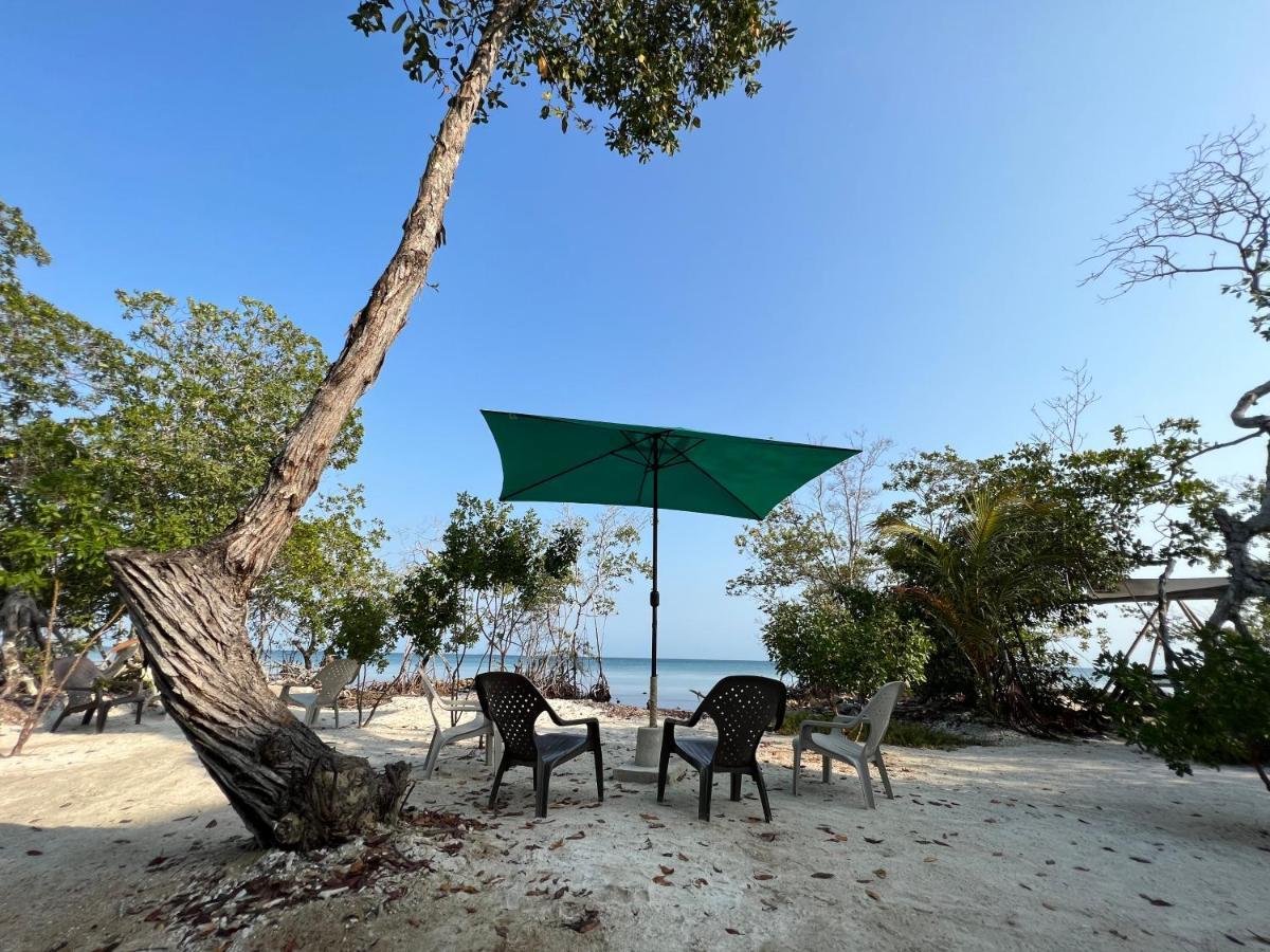 Santa Lova Eco-Hostel Isla Tintipan Tintipan Island Экстерьер фото