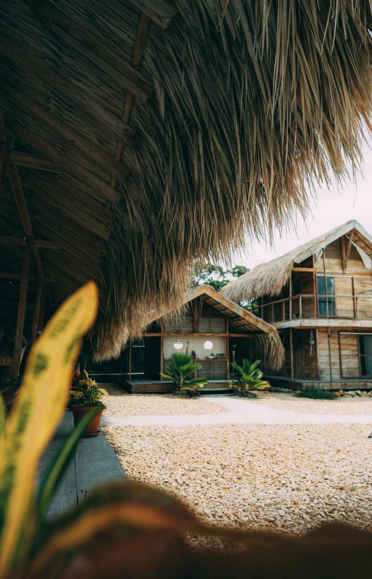 Santa Lova Eco-Hostel Isla Tintipan Tintipan Island Экстерьер фото